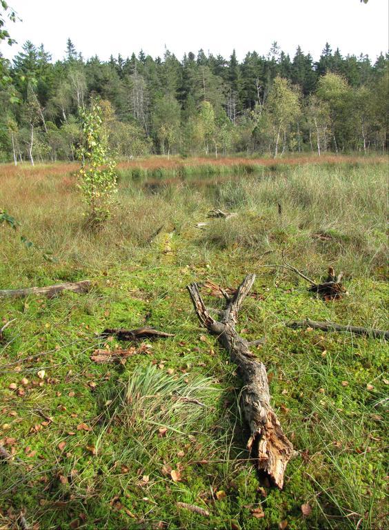 Appartamento Stollenklause Hormersdorf  Esterno foto