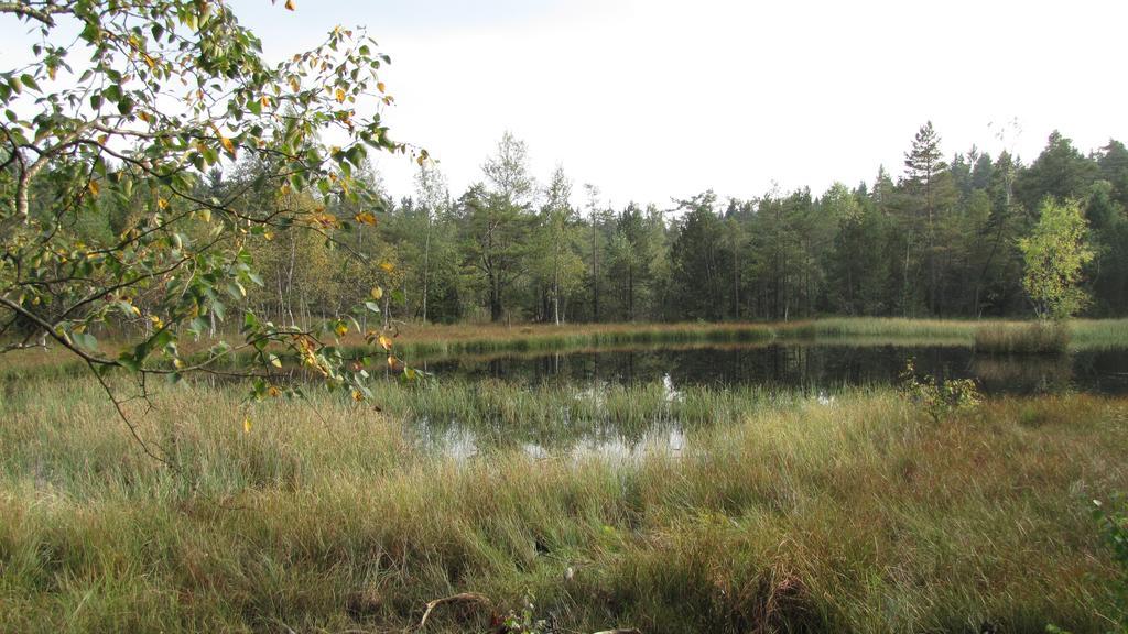 Appartamento Stollenklause Hormersdorf  Esterno foto